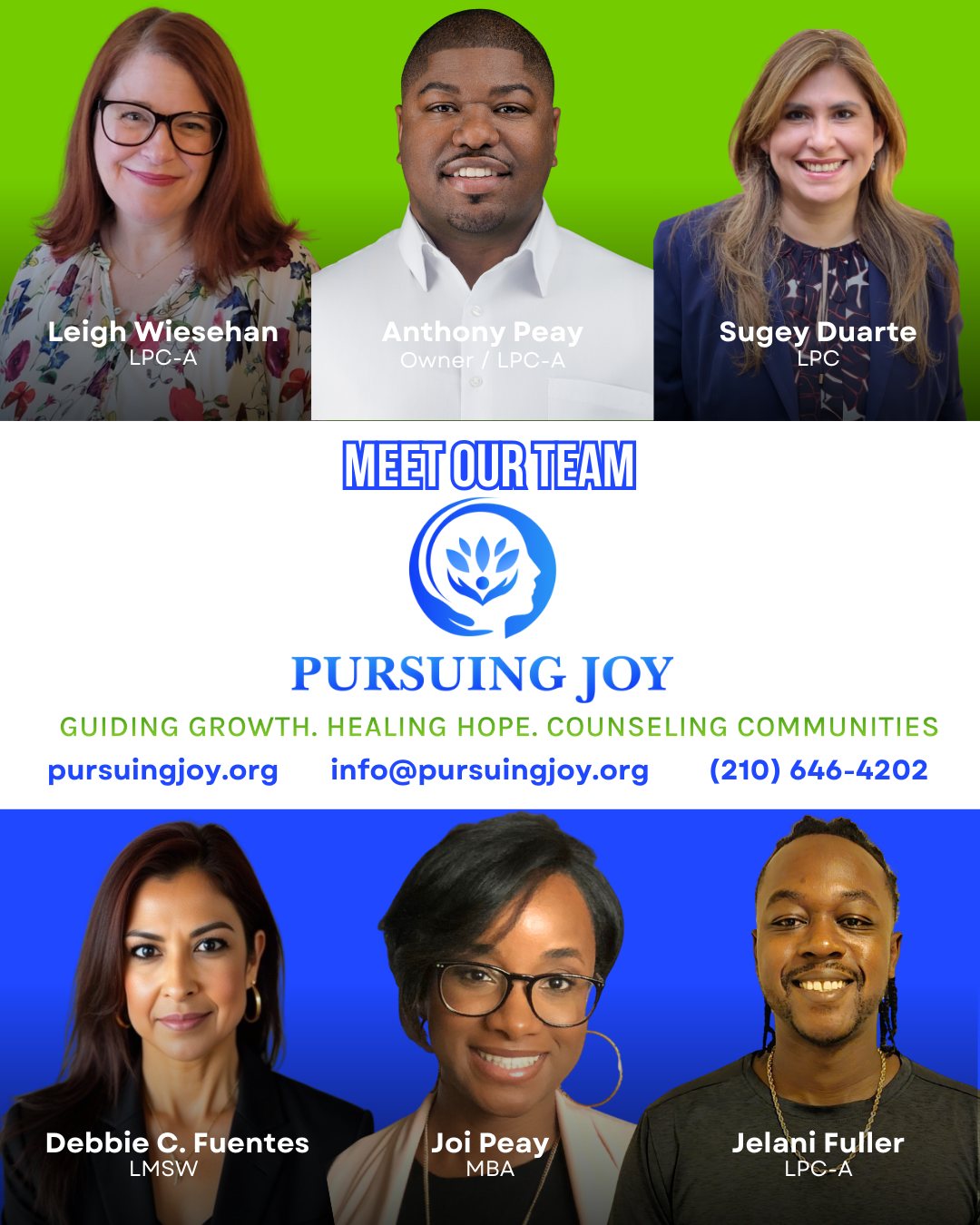 Meet the Team